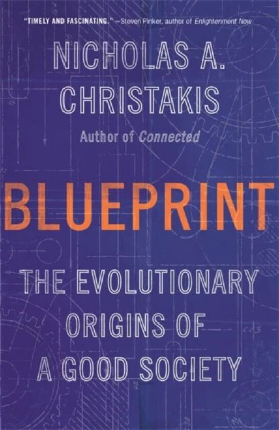 Blueprint av Nicholas A. Christakis