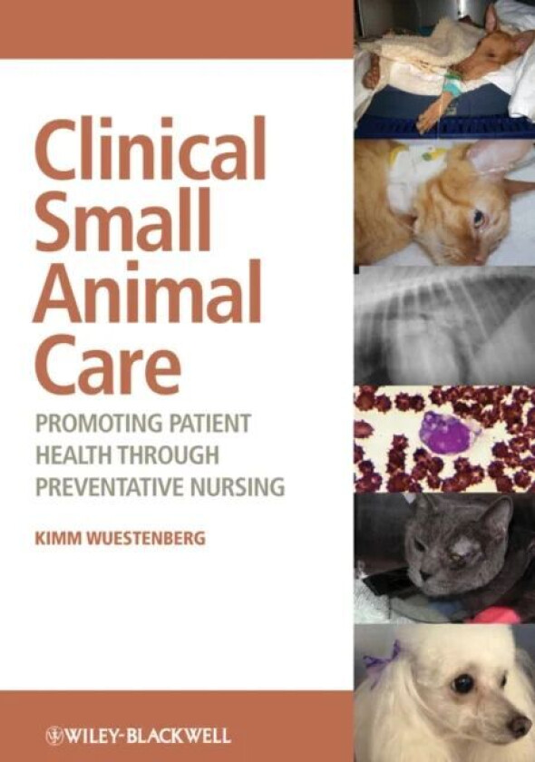 Clinical Small Animal Care av Kimm (Veterinary Technician Specialist Arizona USA) Wuestenberg