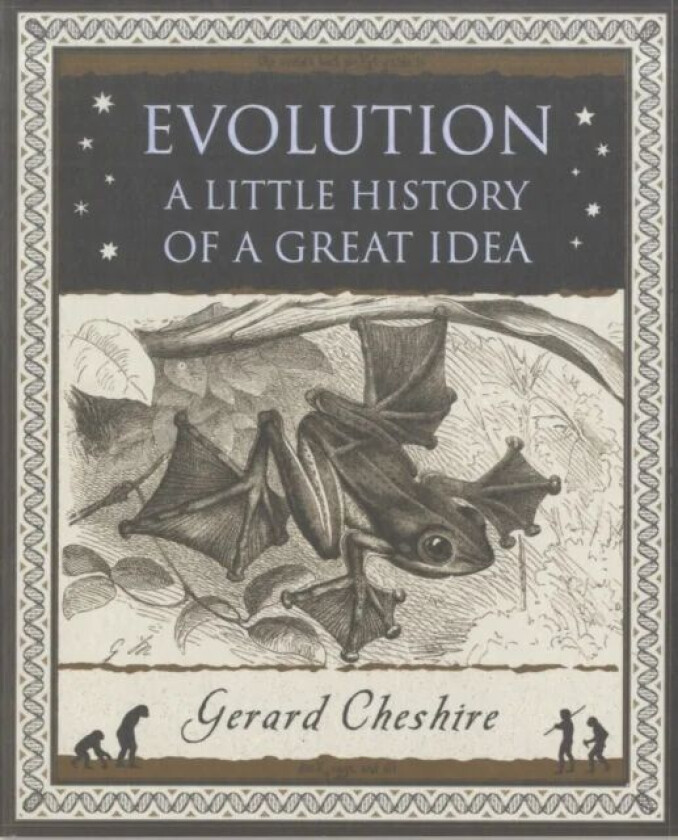 Evolution av Gerard Cheshire