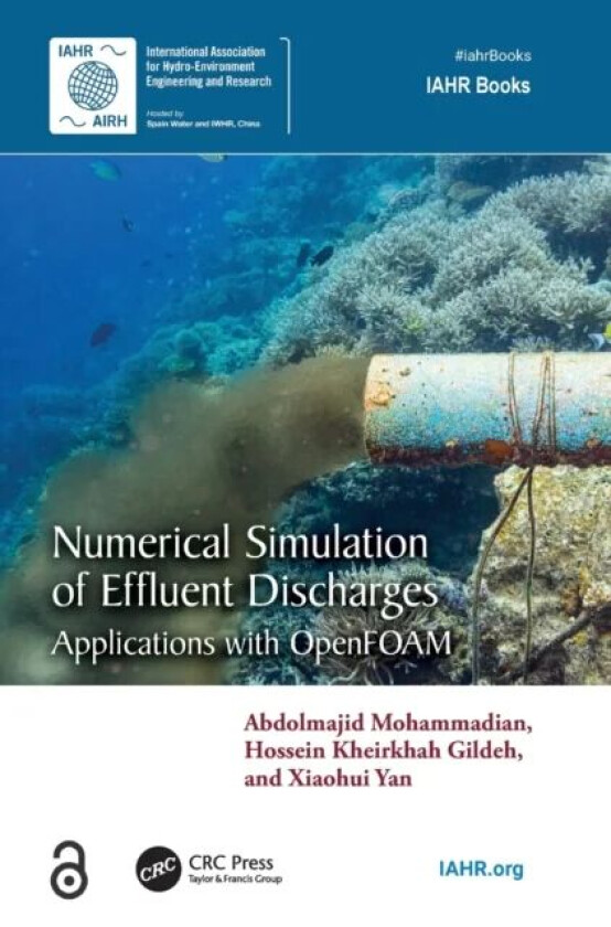 Numerical Simulation of Effluent Discharges av Abdolmajid (University of Ottawa Canada) Mohammadian, Hossein Kheirkhah (University of Ottawa Canada) G