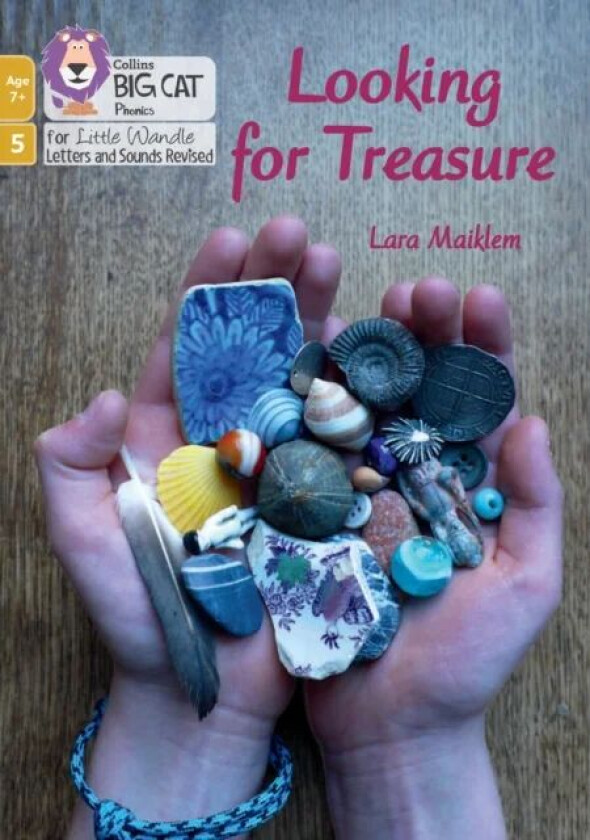 Looking for Treasure av Lara Maiklem