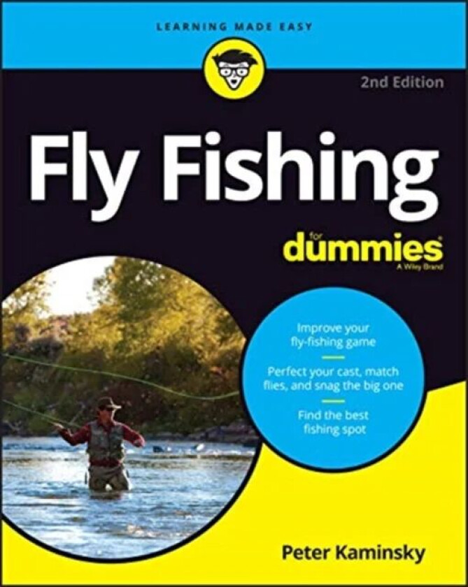Fly Fishing For Dummies av P Kaminsky