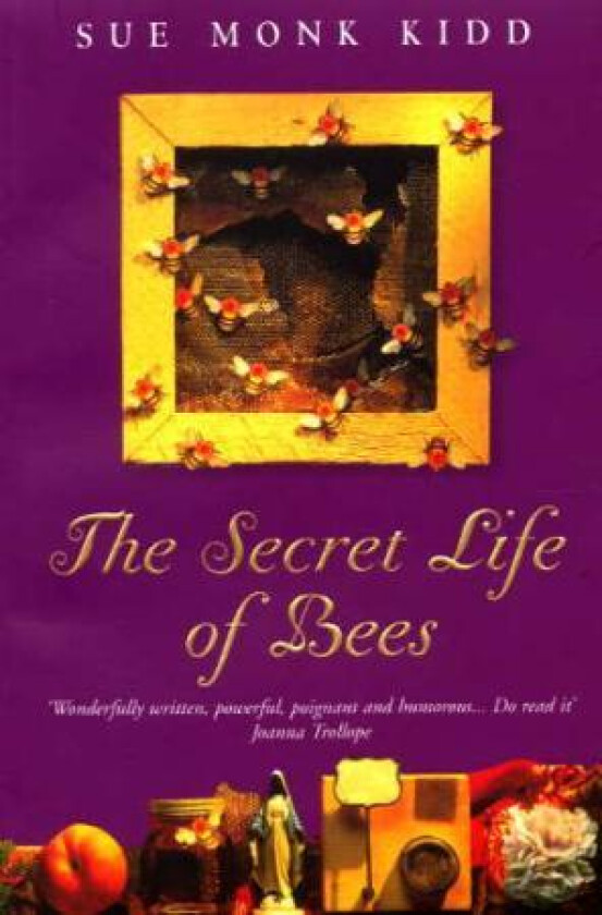 The Secret Life of Bees av Sue Monk Kidd