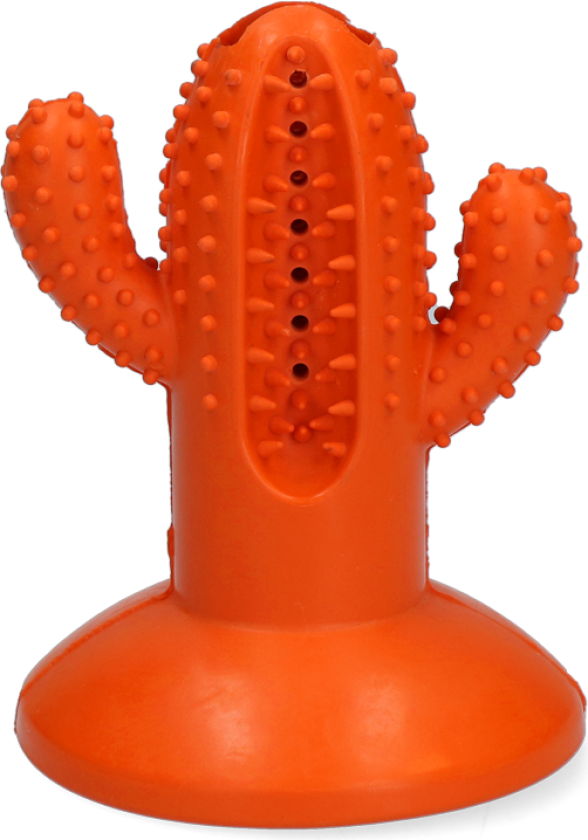 All for Paws Dental Cactus M Orange
