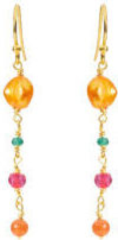 Forgylt Sølv Øredobber 5669-2-581