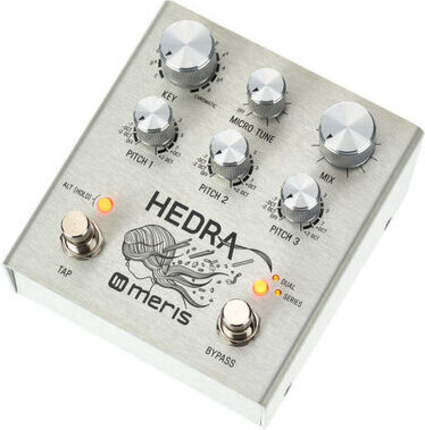 Meris Hedra 3-Voice Rhythmic Pitch Shifter
