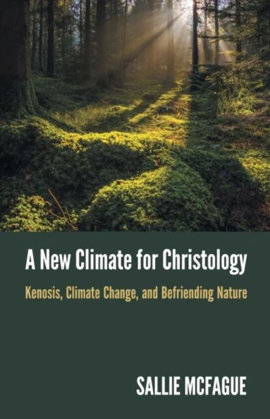 A New Climate for Christology av Sallie McFague