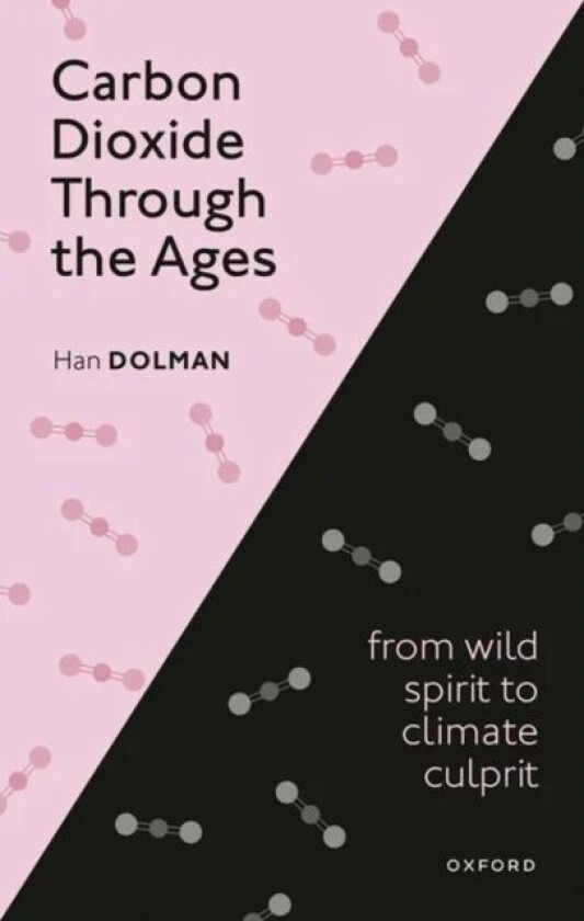 Carbon Dioxide through the Ages av Han (Director Royal NIOZ the Netherlands Institute for Sea Research and Professor at the Dept of Earth Sciences Fre