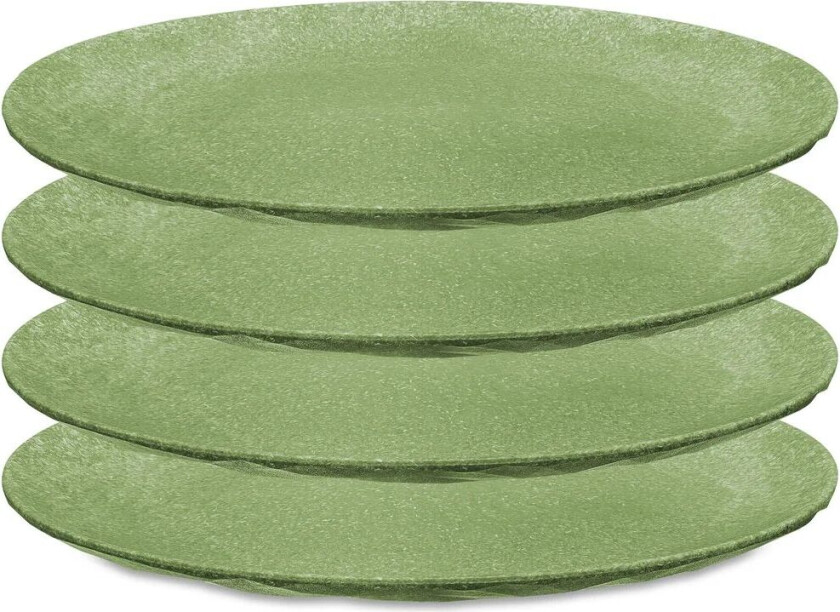 Club tallerken Ø 26 cm 4-pakning Nature leaf green