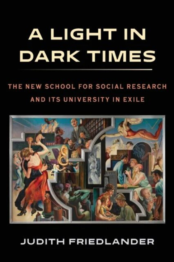 A Light in Dark Times av Judith Friedlander