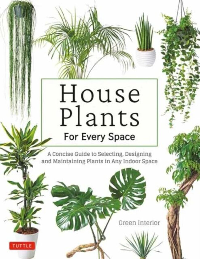 House Plants for Every Space av Green Interior