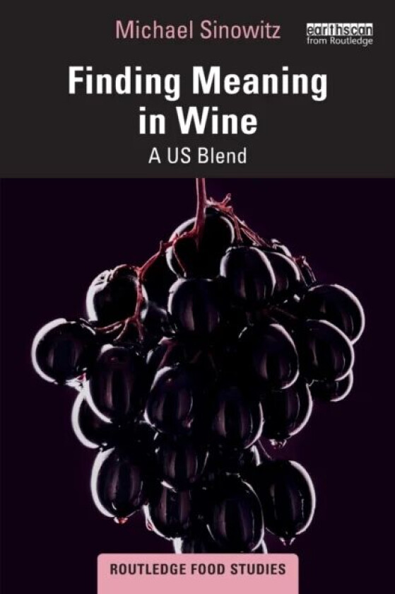 Finding Meaning in Wine av Michael Sinowitz