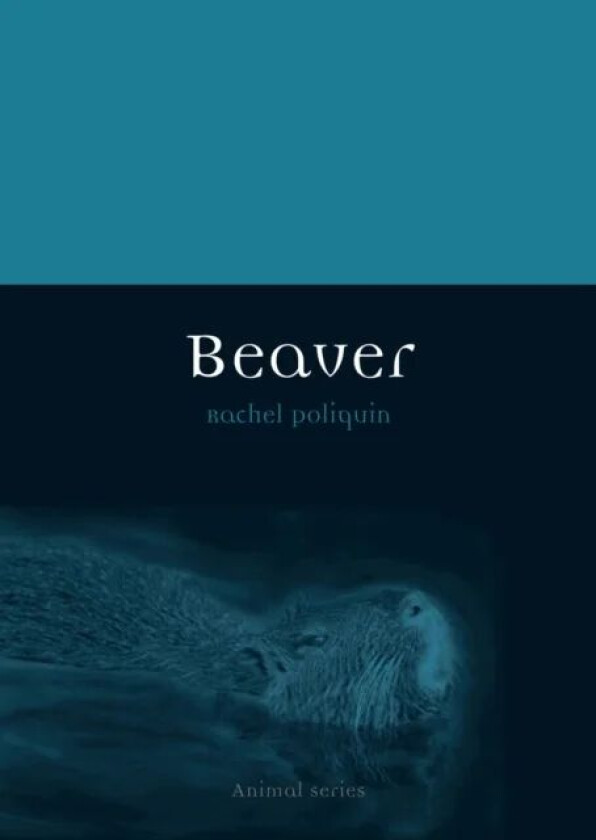 Beaver av Rachel Poliquin