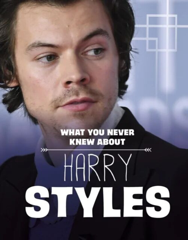 What You Never Knew About Harry Styles av Dolores Andral
