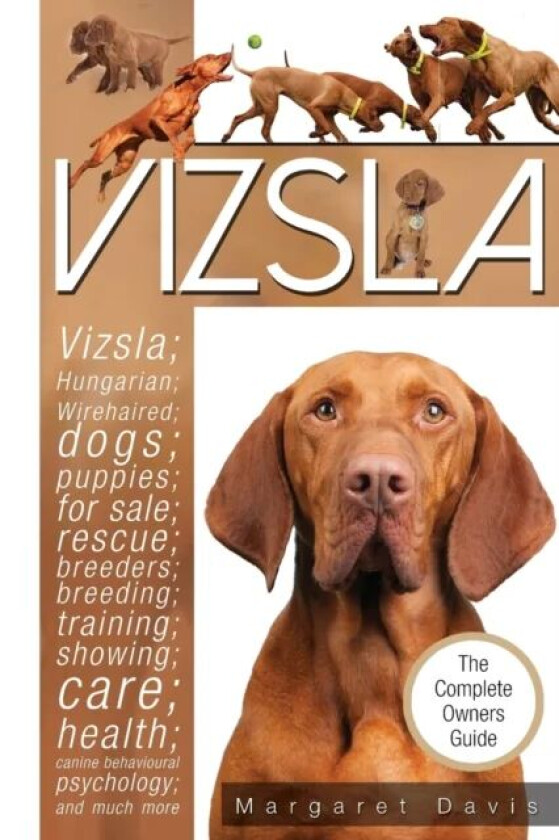 Vizsla av Margaret Davis