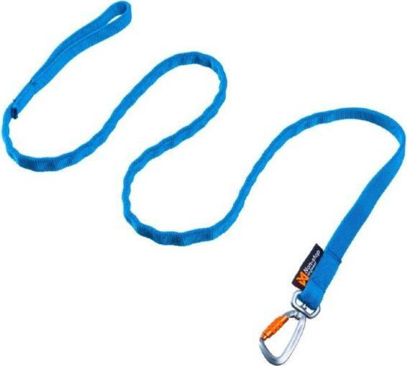 Bungee Leash Blå 2 meter