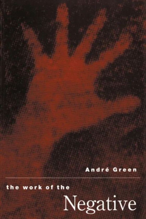 The Work of the Negative av Andre Green