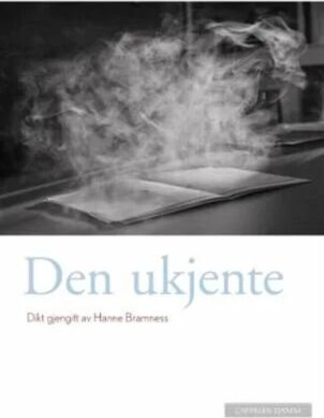 Den ukjente av Hanne Bramness