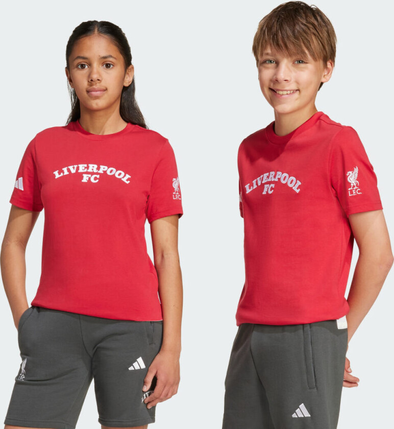 Originals Liverpool Fc Us Pack Tee, størrelse 128 cm
