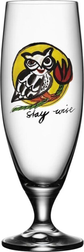 Friendship glass 50 cl stay wise