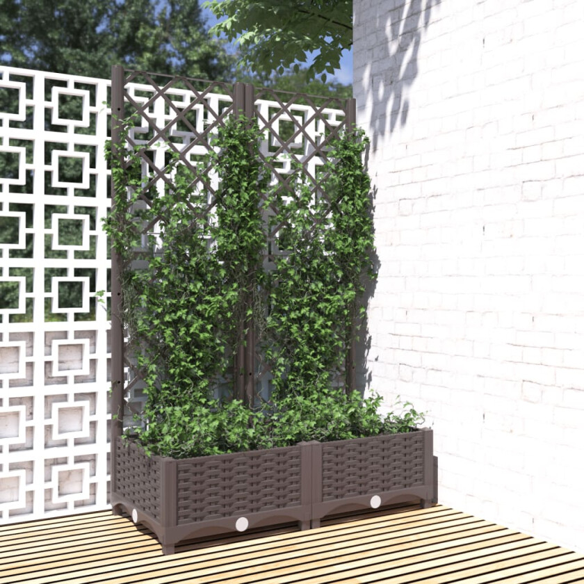 Plantekasse med espalier brun 80x40x121,5 cm PP