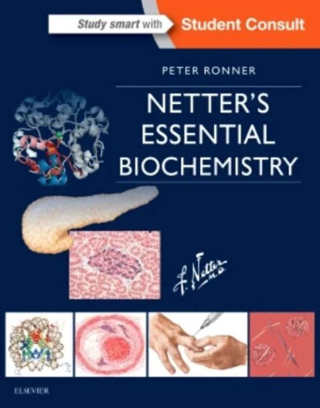 Netter's Essential Biochemistry av Peter (Professor of Biochemistry and Molecular Biology Professor of Pharmaceutical Sciences Department of Bioc