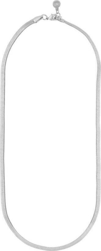 Paris Chain Necklace Silver 45cm