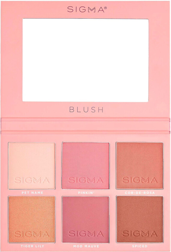 Blush Cheek Palette