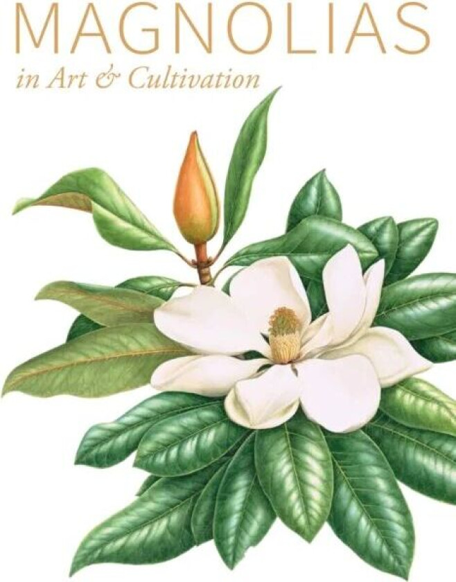 Magnolias av Barbara Oozeerally, Jim Gardiner, Stephen A. Spongberg