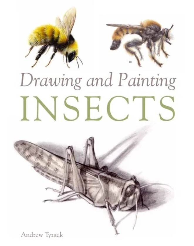 Drawing and Painting Insects av Andrew Tyzack