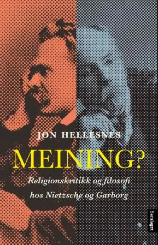Meining? av Jon Hellesnes