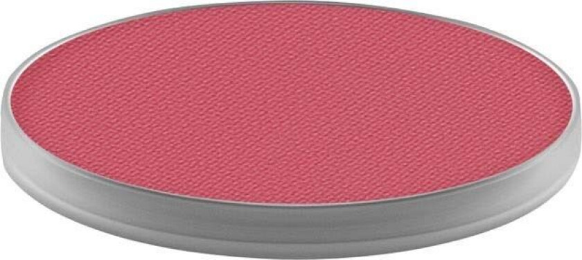 Powder Kiss Eye Shadow Pro Palette A Little Thing