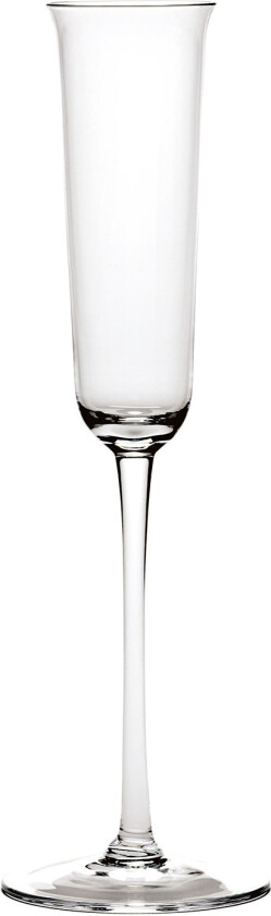 Champagne Glass Transparent Grace Champagneglass Transparent Grace