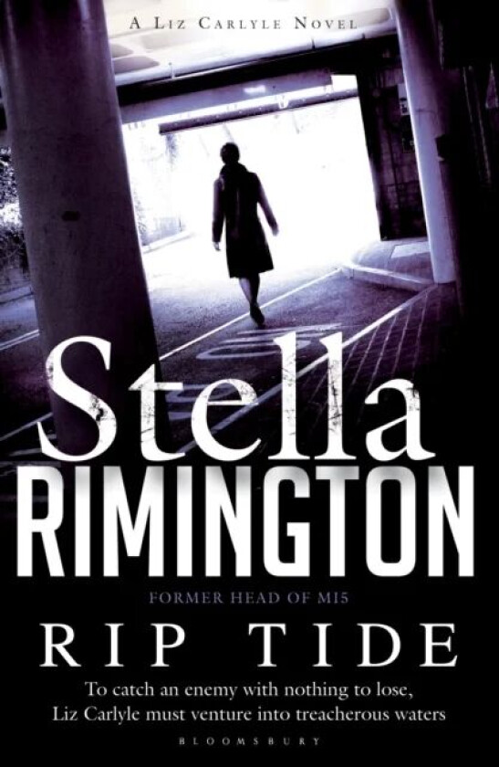 Rip Tide av Stella Rimington