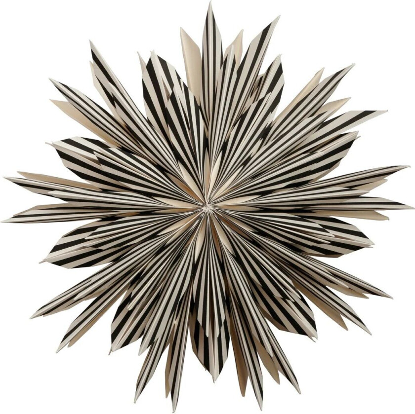 Leah adventsstjerne Ø 50 cm Svart-hvit