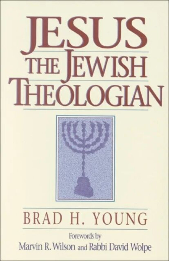 Jesus the Jewish Theologian av Brad H. Young, Marvin Wilson, David Wolpe