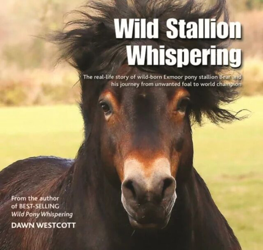 Wild Stallion Whispering av Dawn Westcott