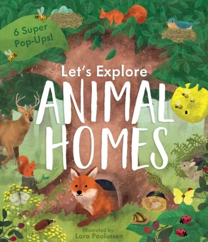 Animal Homes av Becky Davies