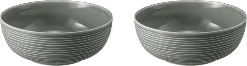 Terra skål Ø 20,4 cm 2-pakning Pearl Grey