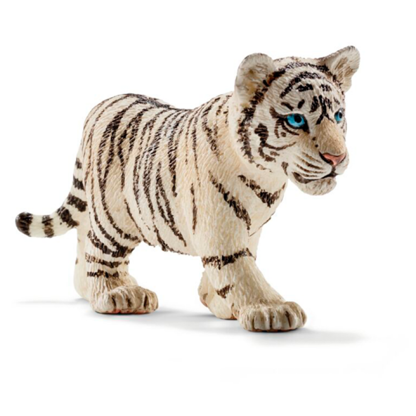 Tiger cub. white