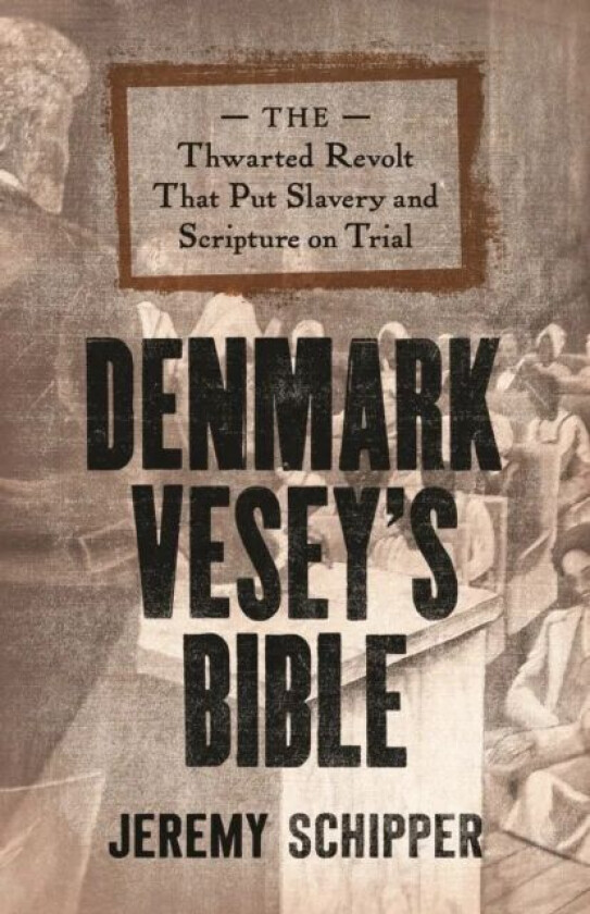 Denmark Vesey's Bible av Jeremy (Professor in the Departments of the Study of Religion and Near and Middle Eastern Civilizations) Schipper