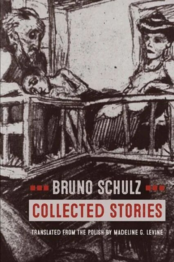 Collected Stories av Bruno Schulz