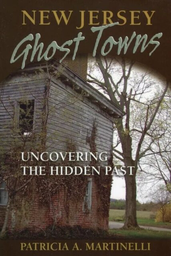 New Jersey Ghost Towns av Patricia A Martinelli