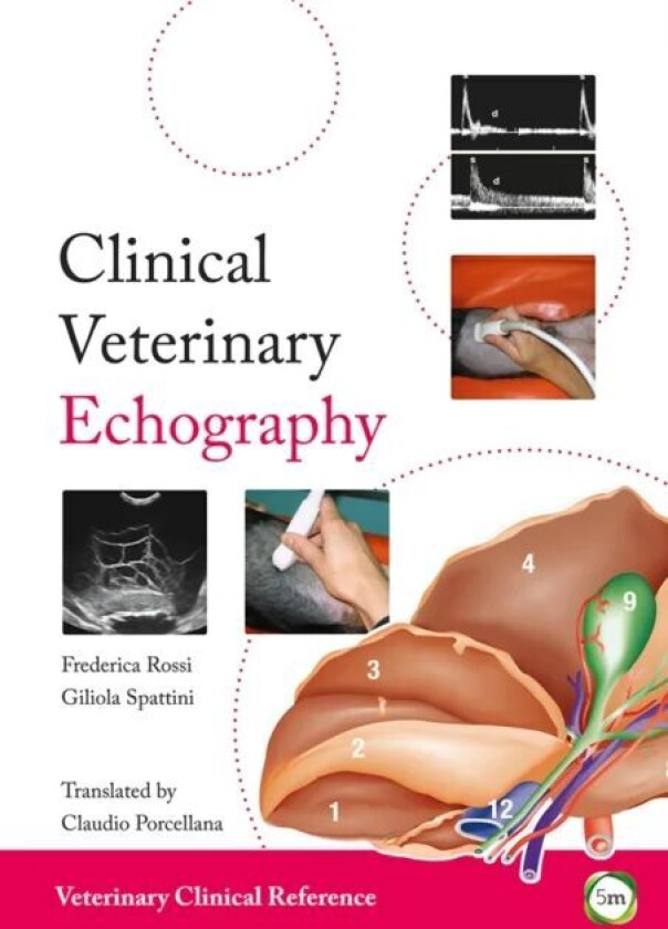 Clinical Veterinary Echography av Federica Rossi, Giliola Spattini