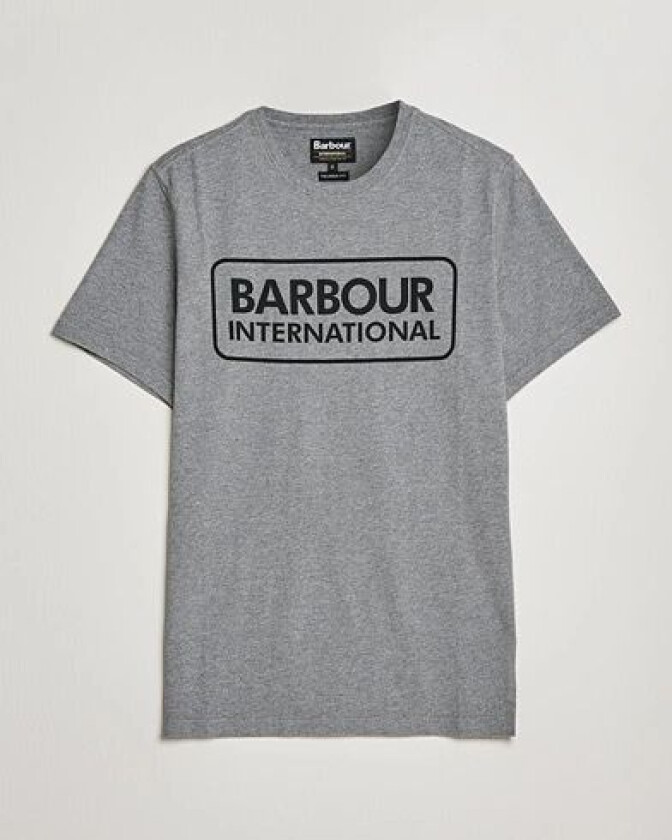Large Logo Crew Neck Tee Antracite Grey