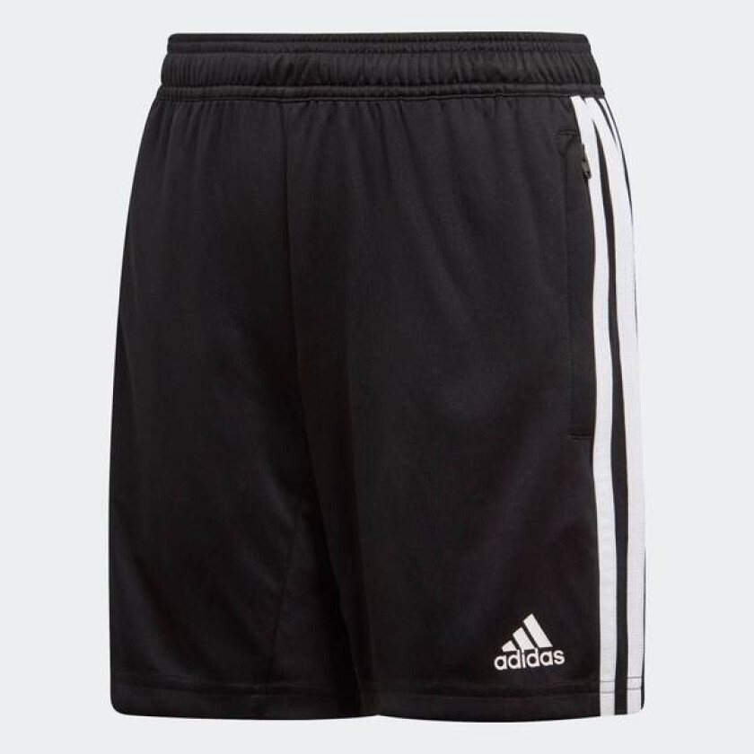 Sort  Tiro 19 Shorts