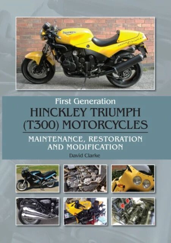 First Generation Hinckley Triumph (T300) Motorcycles av David Clarke