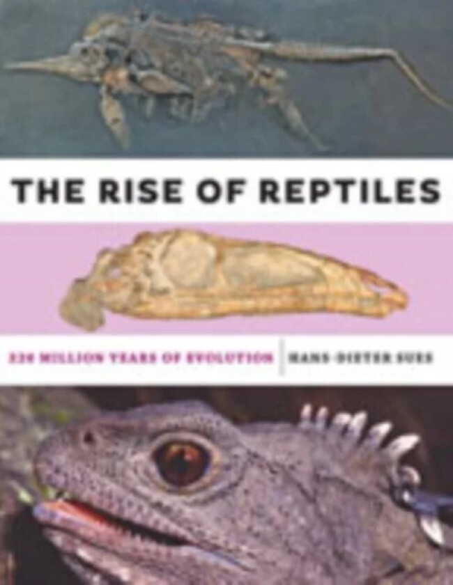 The Rise of Reptiles av Hans-Dieter (Senior Scientist and Curator of Vertebrate Paleontology National Museum of Natural History and National Museum of