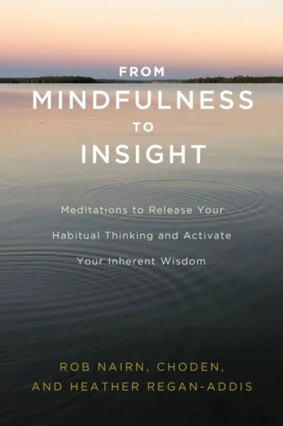 From Mindfulness to Insight av Rob Nairn, Choden