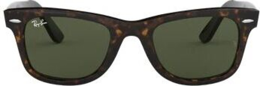 Wayfarer Tortoise 54 Grønn Grønn unisex